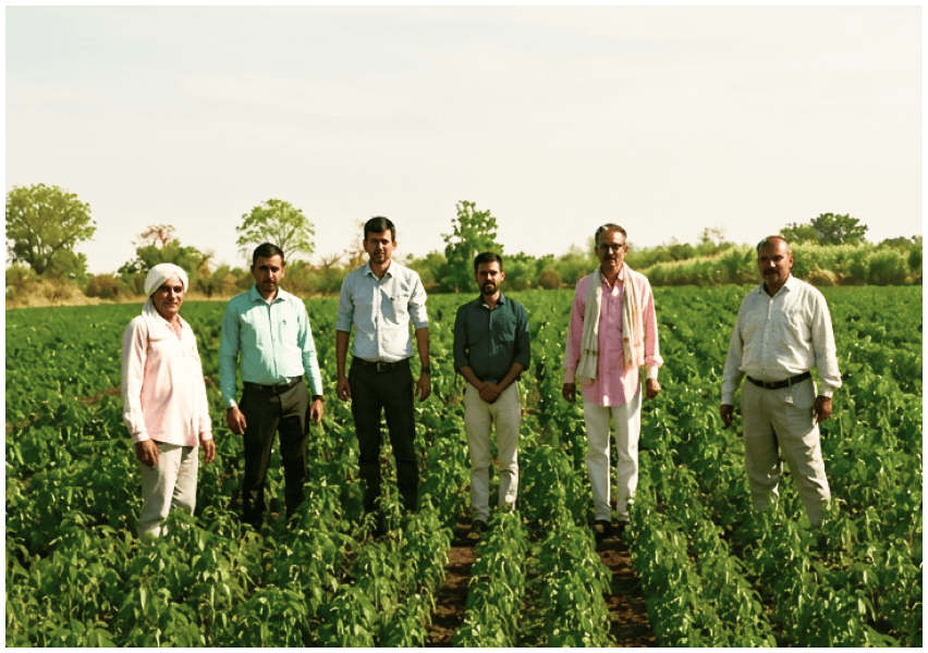 GIPE researchers in an agricultural field